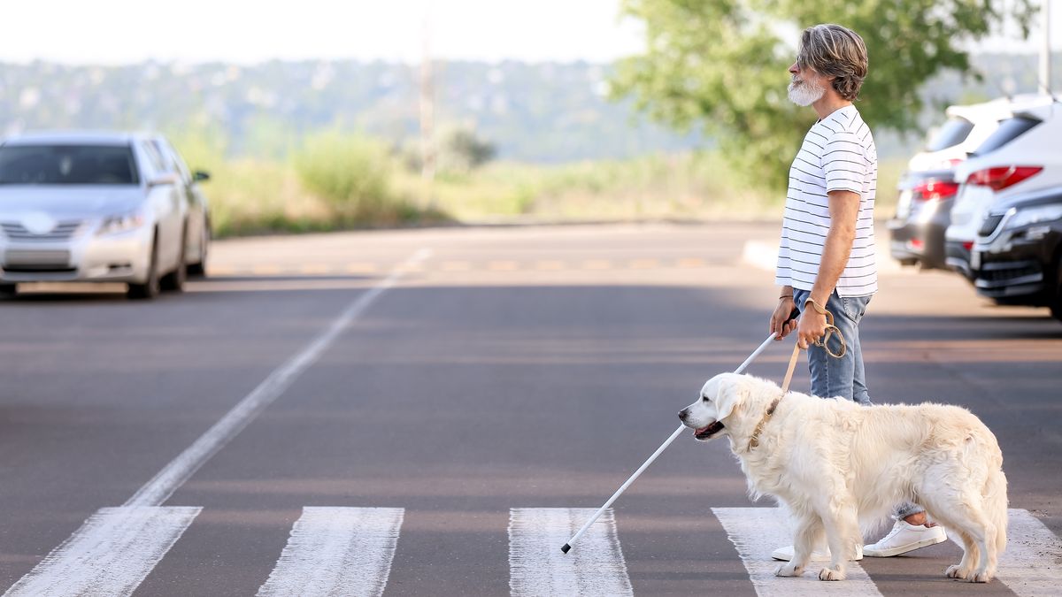 Pozor, jsou tady nové otázky pro autoškoly! Zaměří se na nevidomé a motorkáře