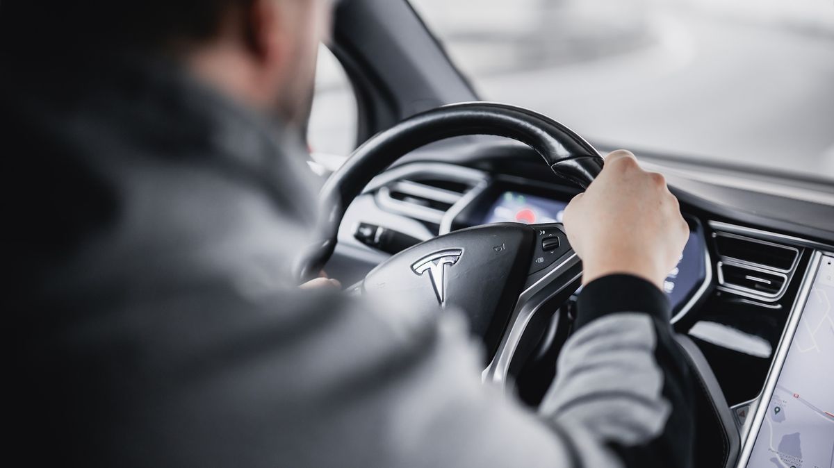 Vtipná hlášení klientů pojišťovny: Vyfukovací SUV, soused, kterému vadí úplně všechno, a melodická srážka se zvěří