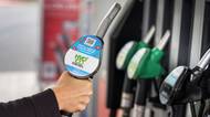 Nafta by mohla být levnější v Česku už teď. A výrazně