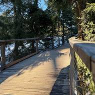 Přístupová cesta přímo ke stezce.