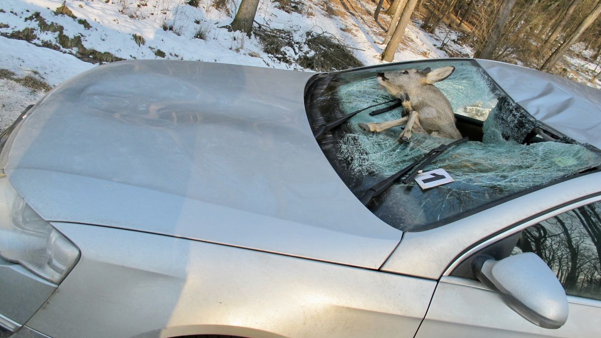 Policie nově nebude jezdit ke specifickým nehodám, dokumentace bude na vás. Potvrzení dostanete e-mailem