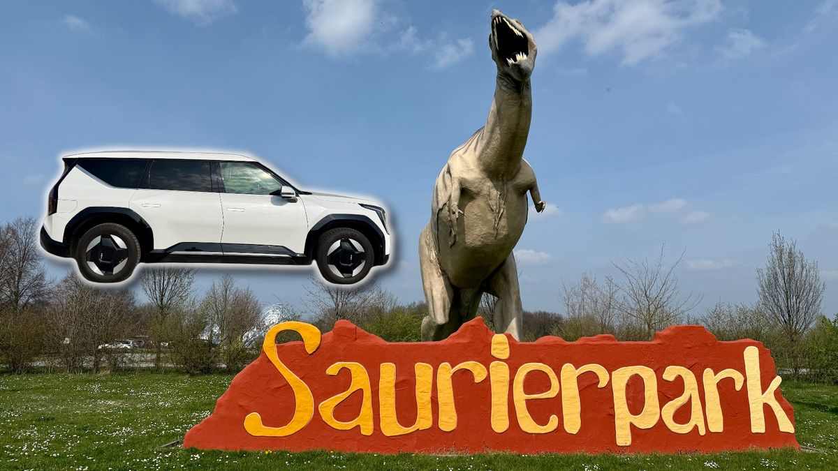 Máte rádi dinosaury? Kousek od hranic najdete tematický park. Tak trochu Jurský park. Nestojí moc a průvodce je v češtině