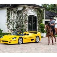 Ferrari F50 po Ralphu Laurenovi.