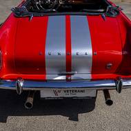 Sunbeam Tiger V8