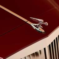 Packard Excellence
