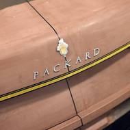 Packard Excellence