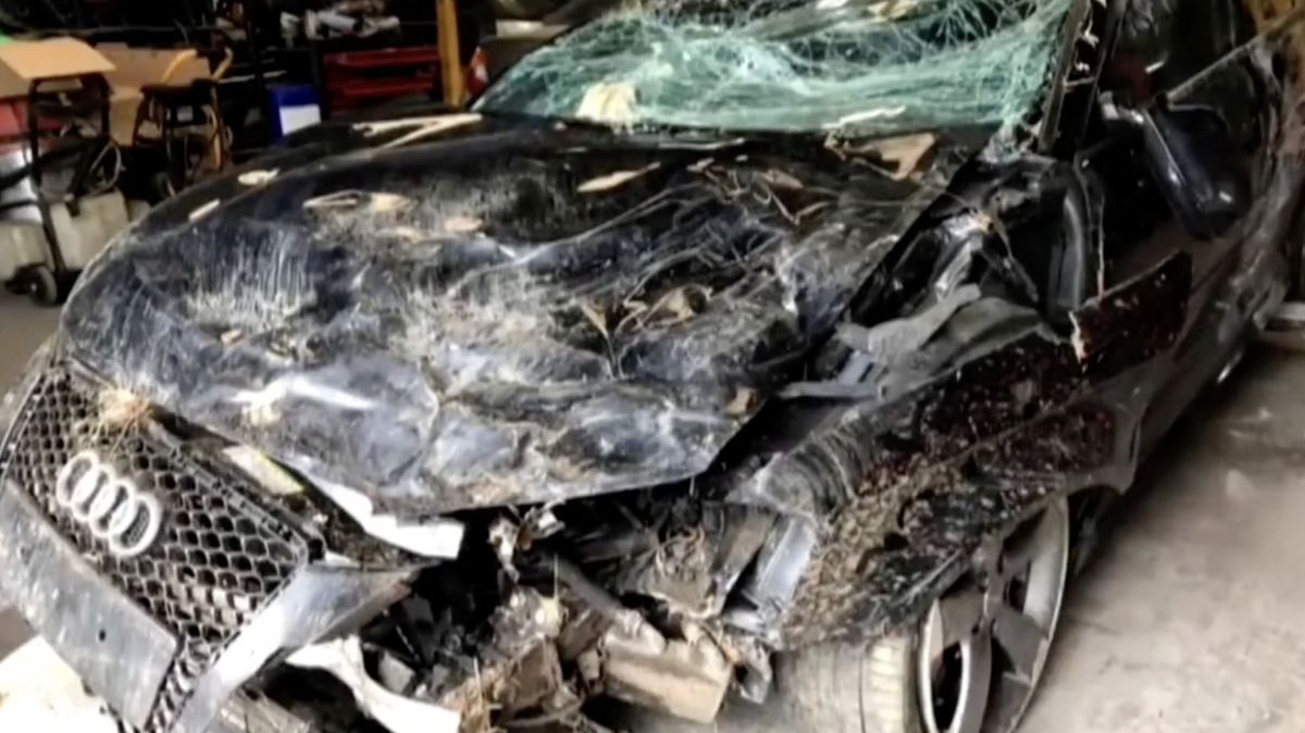 Video: Šílená nehoda audi ve 250 km/h na veřejné silnici. Těžko uvěřit, že tohle mohl vážně někdo přežít