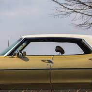 Pontiac Catalina 4-Door Hardtop