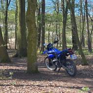 Yamaha WR125R