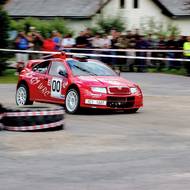 Brisk RS 01 WRC